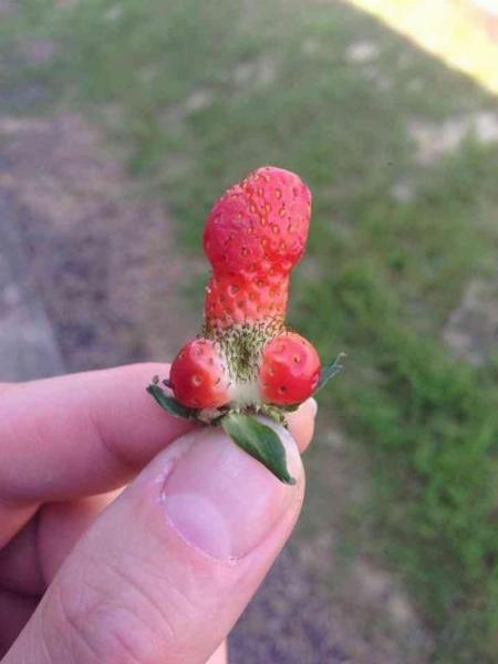ユウコ
