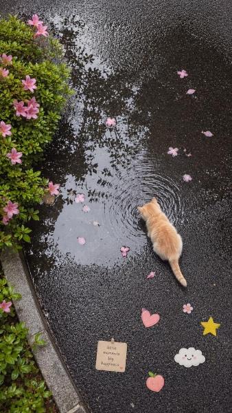 イズミ