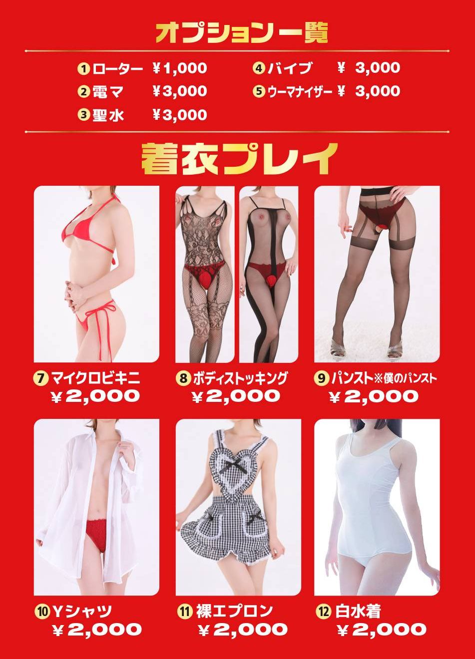 着衣プレイ・オプション一覧